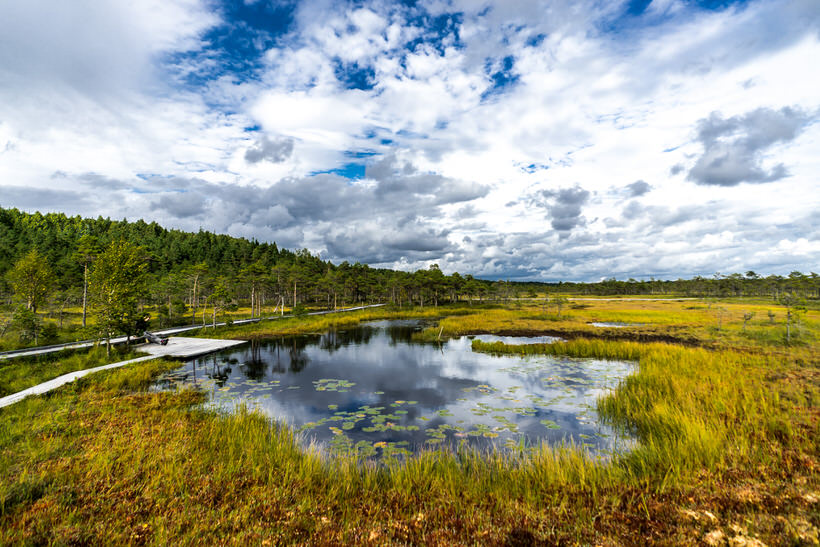 Parco nazionale Soomaa, Estonia