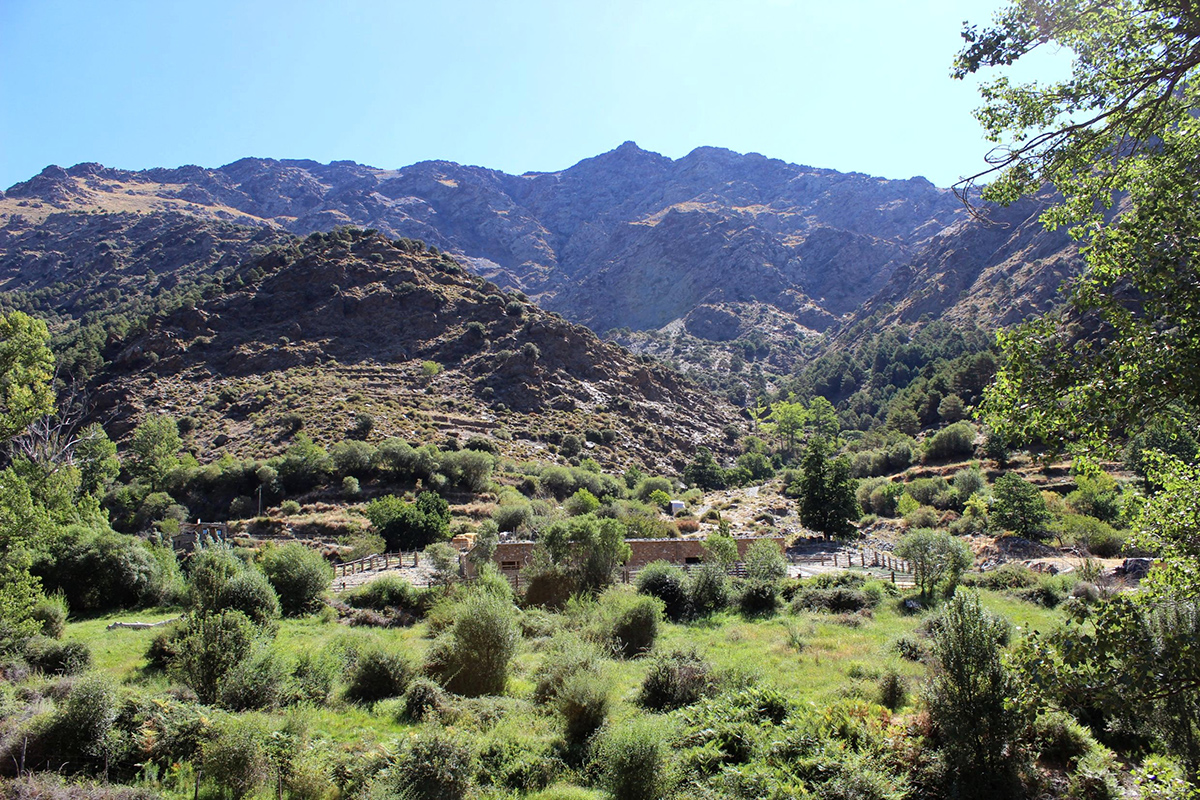 Durante il tour in camper, meraviglie naturali come la Sierra Nevada possono essere vissute da vicino.
