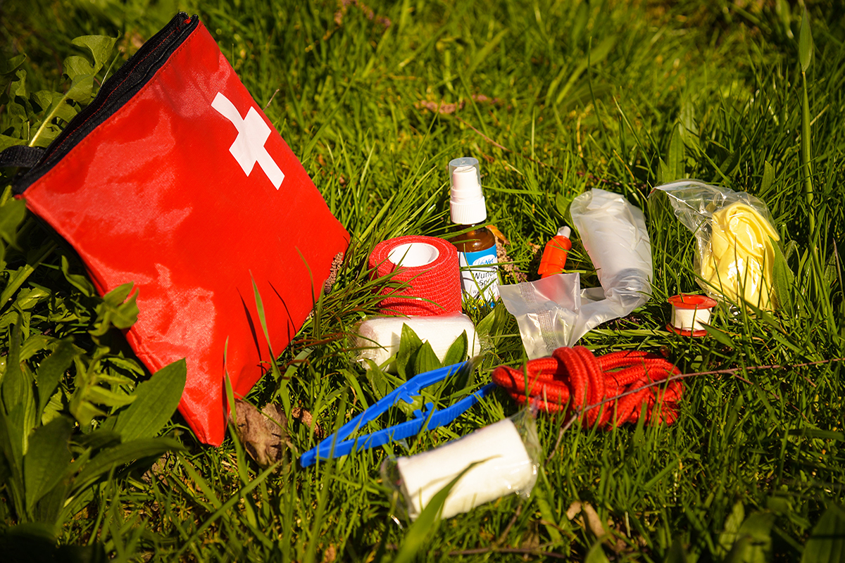 Bende, pinze per zecche e spray disinfettante fanno parte del kit di pronto soccorso d'emergenza