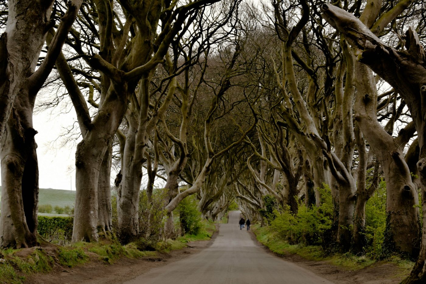 La Bregagh Road in Irlanda del Nord non è interessante solo per i fan di Games of Thrones.